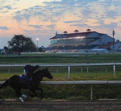 Fair Grounds Race Course - New Orleans - Reviews of Fair Grounds Race Course - TripAdvisor