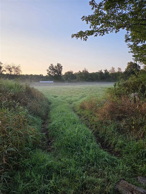 Camping in New Jersey: Best New Jersey Campgrounds 2026 | Hipcamp