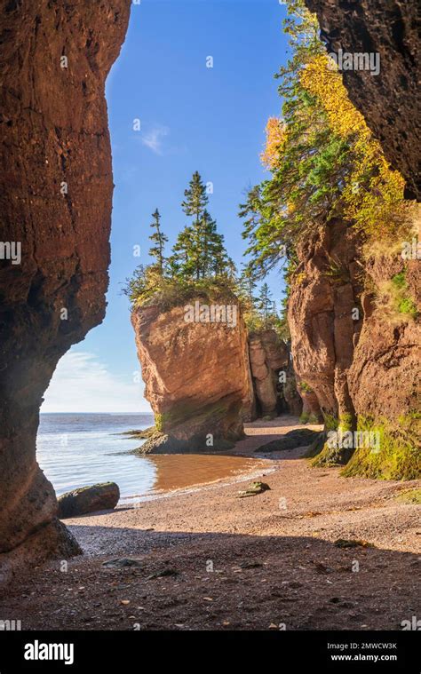 Sea Stacks And Cliffs At The Hopewell Rocks In Hopewell Rocks