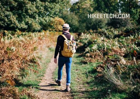 Nature Walk Captions for Instagram with Quotes - HIKEETECH