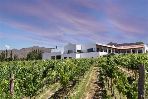 Vinos De Altura Para Celebrar Las Fiestas La Nueva Propuesta De Bodega