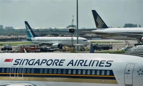 シンガポール航空、北京大興空港への就航へ ブイプレvpress・ベトナム情報版