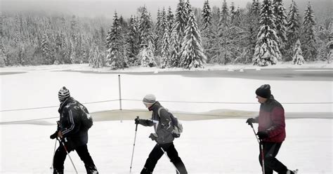 Haute Sa Ne Risque De Coul Es De Neige Dans Le Massif Des Vosges