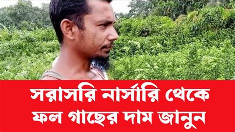 সরাসরি নার্সারিতে ফল গাছের দাম জানুন। পর্ব ১ । নার্সরি পরিদর্শন। Youtube