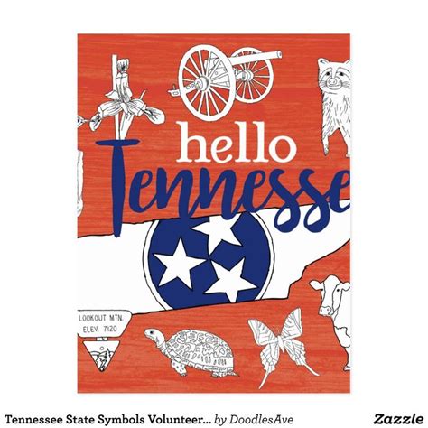 Tennessee State Symbols Volunteer State Images Postcard | Zazzle ...