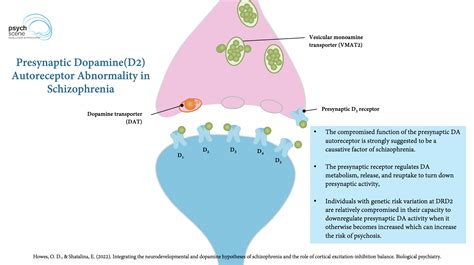 The Dopamine Hypothesis Of Schizophrenia Advances In Neurobiology