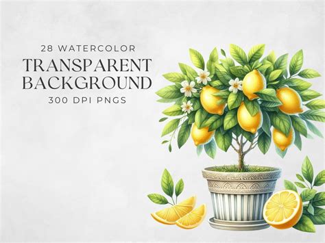 Lemon Tree Watercolor Clipart, Tiles and Lemons Clip Art, Mediterranean ...