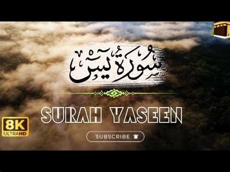 Surah Yaseen Yasin Dua Daily Quran Tilawat Surah Yasin Surah Full