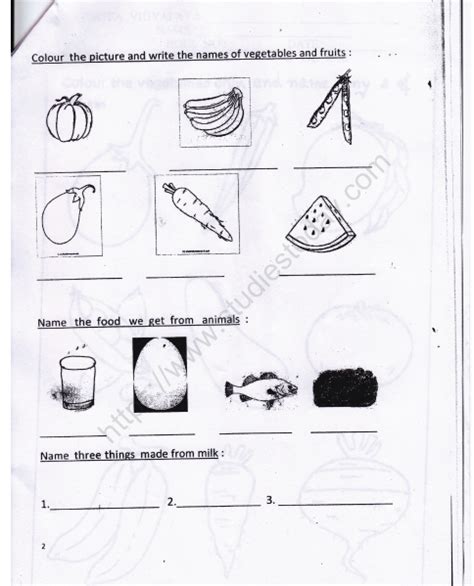 Cbse Class Evs Our Food Worksheet