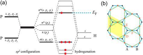 A On The Honeycomb Lattice The Sp Hybridization Leads To Bonding