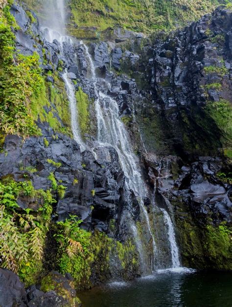 Azores Waterfalls in Flores Stock Image - Image of flora, europe: 234249219