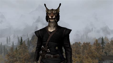 Skyrim Build The Khajiit Samurai Mod List Pcoutcast