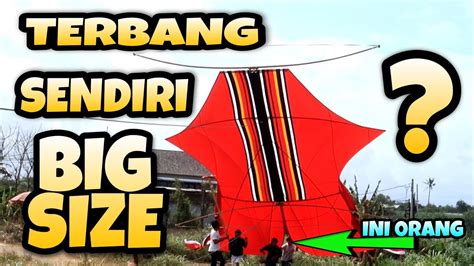 Bebean Big Size Mengudara Di Padanggalak Bali Youtube