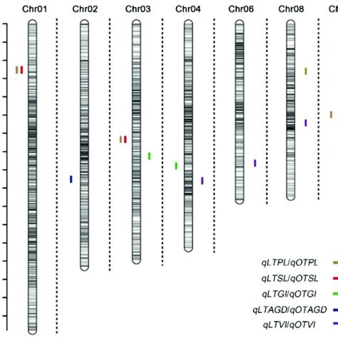 Chromosomal Location Of Quantitative Trait Loci QTL For Germination