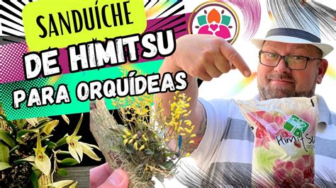 SANDUÍCHE DE ADUBO HIMITSU PARA ORQUÍDEAS NO TRONQUINHO YouTube