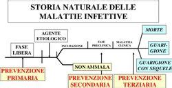 Storia Naturale Delle Malattie Infettive Prevenzione Moodle Units