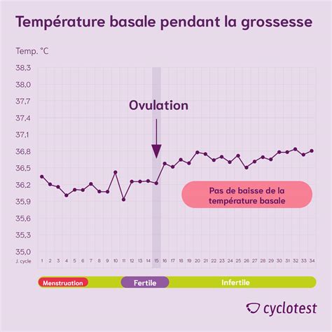 Quelle Est La Courbe De Temp Rature Basale Du Corps Cyclotest