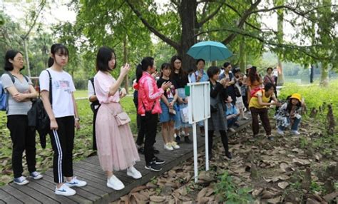 华南植物园举办“鲜花与火焰的完美结合”压花科普课程 中国科学院