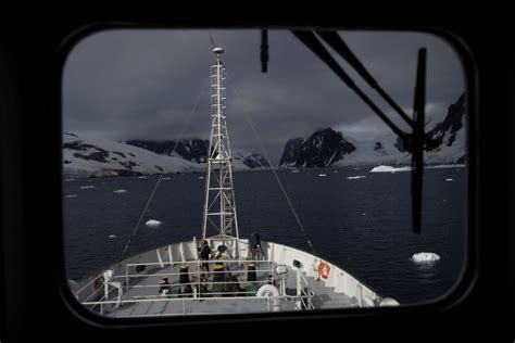 Photos: Penguin Decline in Antarctica - The Atlantic