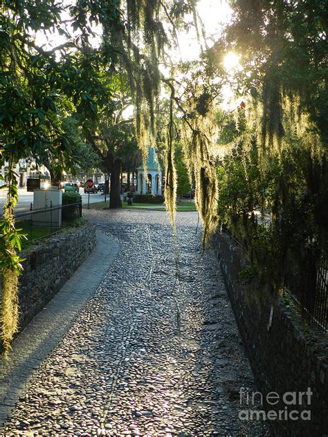 Savannah Walkway Photograph By Deborah Ferree Fine Art America