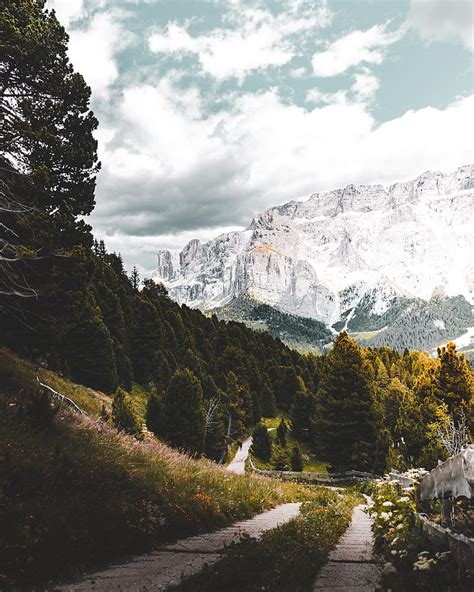 Mountains Forest Path Landscape Nature HD Phone Wallpaper Peakpx