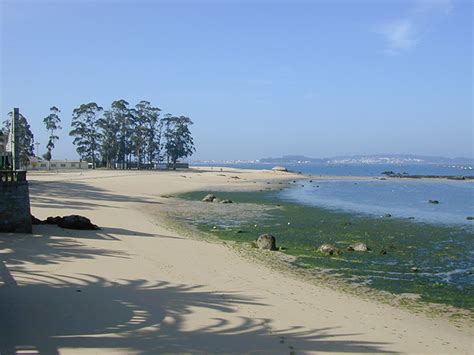 Playa De As Sinas Vilanova De Arousa Pontevedra Galicia Playas