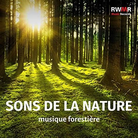 Amazon Sons De La Nature Musique Foresti Re Relaxation