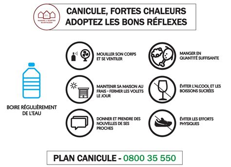 Canicule Adoptez Les Bons R Flexes Ville De Bruxelles