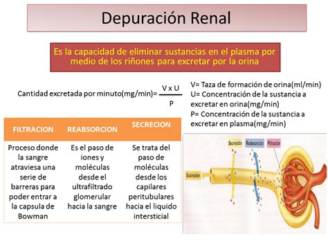 UAS Fisiologia Medica Depuracion Renal