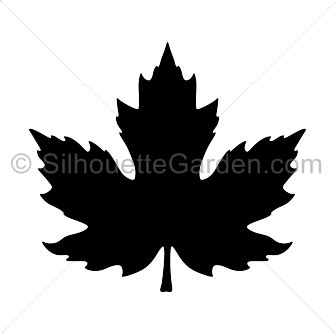 Maple Leaf Silhouette - Free Clip Art, Printable, and Vector Downloads