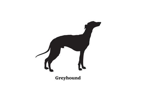 Greyhound Clip Art Silhouette Clip Art Of Dogs