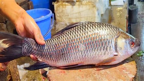 Incredible Giant Katla Fish Cutting Big Catla Fish Cutting Amazing