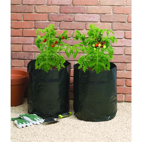 Wilko Grow Bag Tomato 46l 2pk Wilko