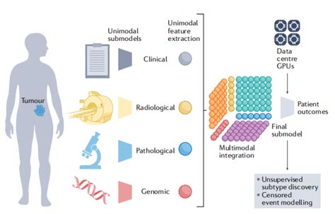 Nature Reviews｜多模态数据整合推动精准肿瘤学的发展腾讯新闻