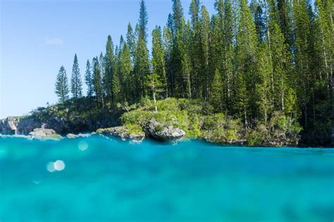 Premium Photo Underwater Limit Natural Pool Of Oro Bay Isle Of Pines