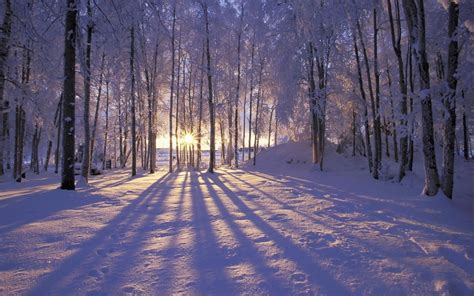 Beautiful Winter Sunrise In The Forest - [hd1080p] HD desktop wallpaper : Widescreen : High ...