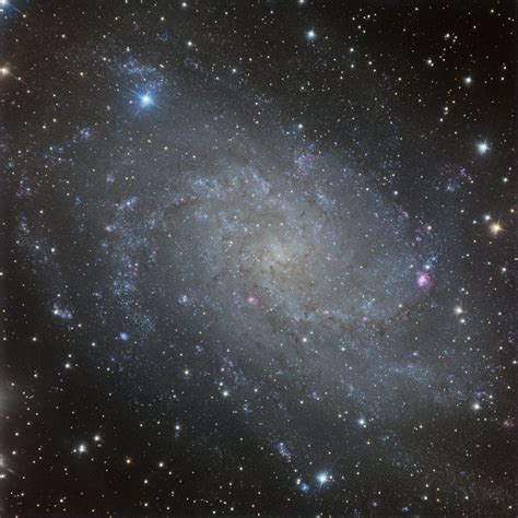 M33