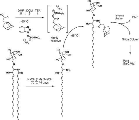 Adagalcer Reaction Scheme Galcer Shown Or Glccer Was Deacylated By