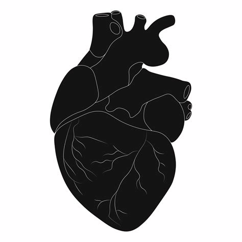 Human heart silhouette. Vector illustration 17079434 Vector Art at Vecteezy