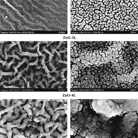 Fesem Images Of The Top Surfaces And Cross Section Morphologies Of The