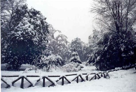 Nevicata Del Gennaio 2006 Matilde L Flickr