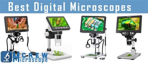 15 Best Digital Microscopes [ Top 15 Lcd Microscopes ] Microscope Crew