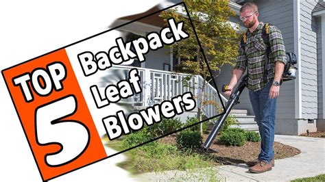 Top 5 Backpack Leaf Blowers Iucn Water