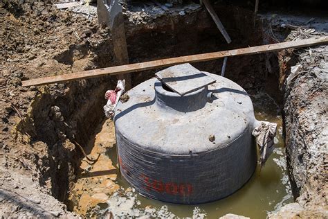 Why Do Septic Systems Fail Danos Septic