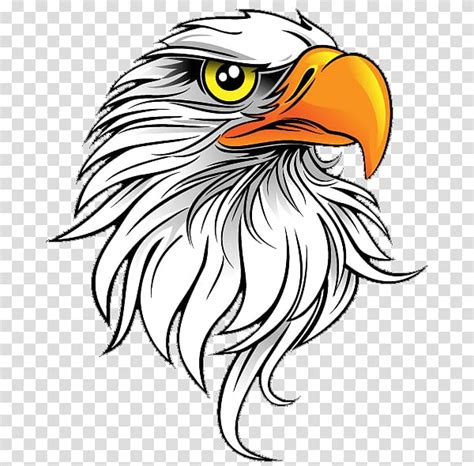 Surfing Eagles Clip Art Library