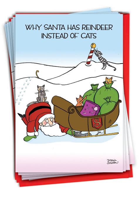 12 Funny Christmas Greeting Cards Bulk Pack W/ Envelopes 1 Design12 Each Pack of Reindeer Cats ...