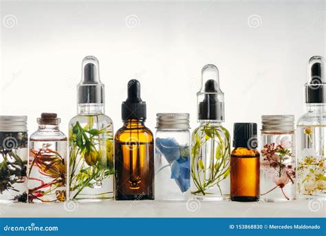 Transparent Bottles Of Essential Oil With Fresh Herbs Stock Photo