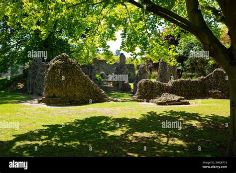 The ruins of Bury St Edmunds Abbey within the Abbey Park at the historic town of Bury St Edmunds ...