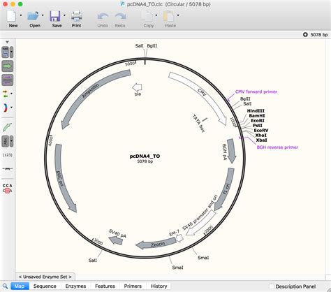 Convert Clc Bio Files To Snapgene Dna Format Snapgene