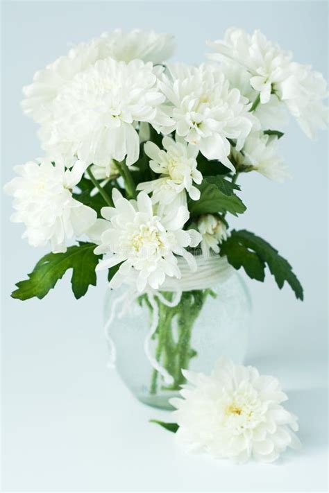 Mazzo Dei Fiori Bianchi In Un Vaso Di Vetro Fotografia Stock Immagine